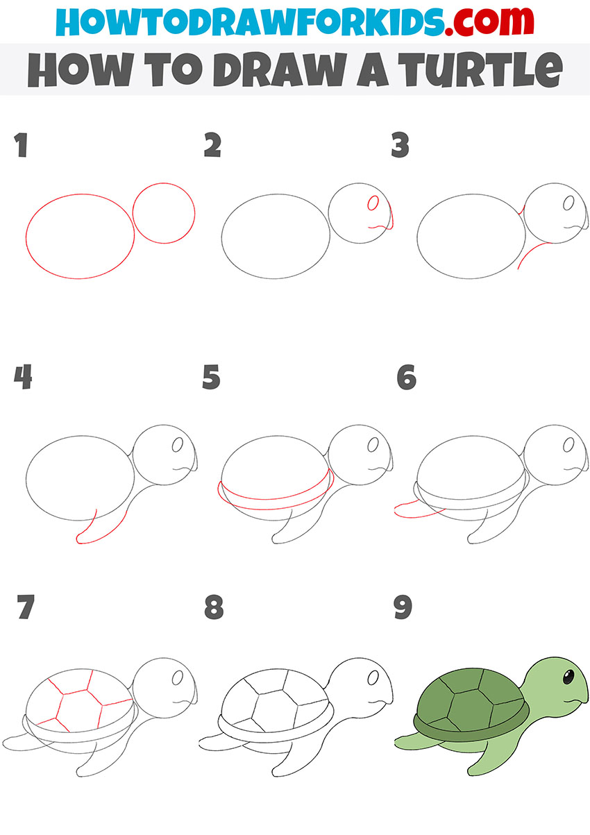 how to draw a turtle step by step