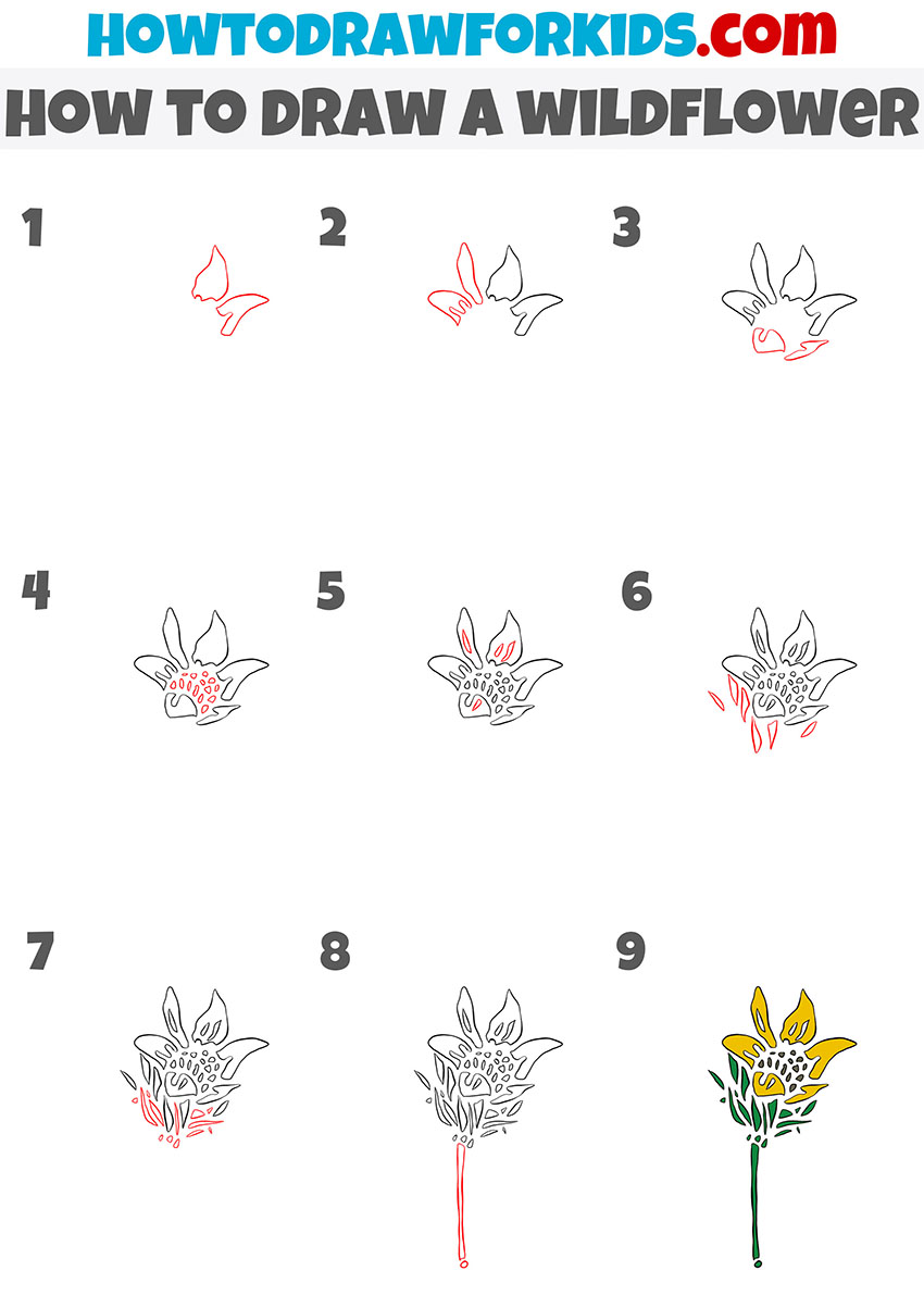 how to draw a wildflower step by step