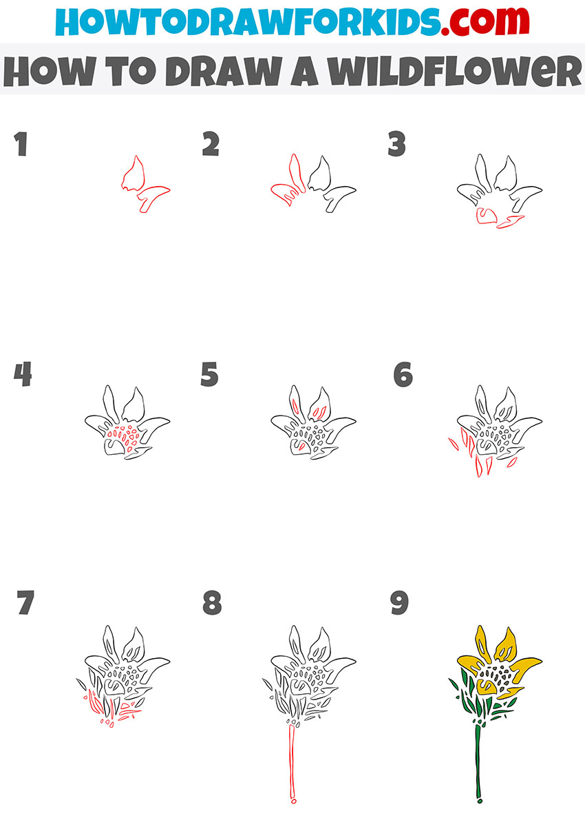 How to Draw a Wildflower Easy Drawing Tutorial For Kids