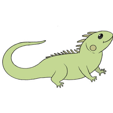How to Draw an Easy Iguana