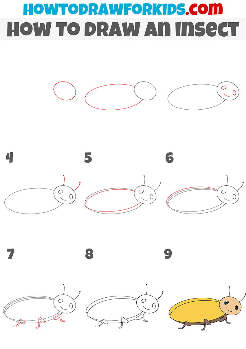 how to draw an insect step by step