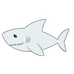 How to Draw Great White Shark