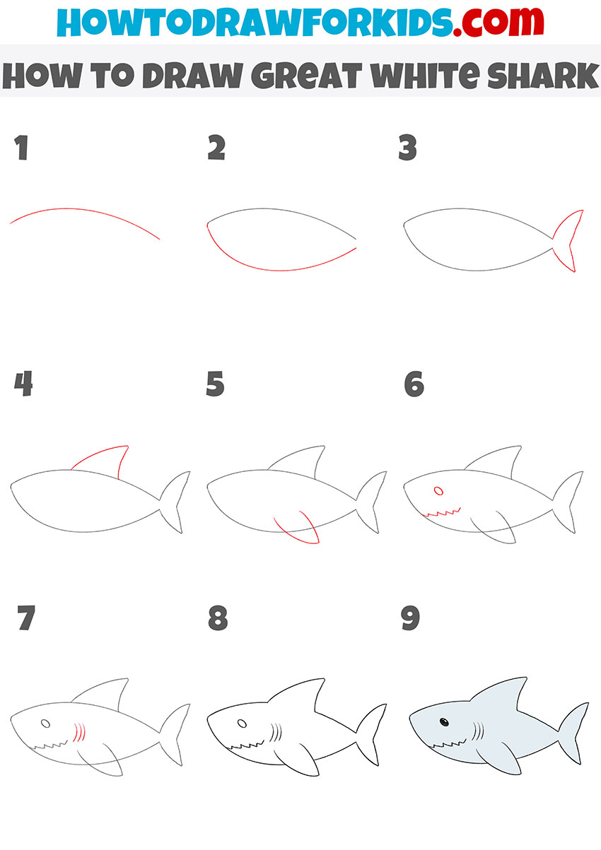 how to draw great white shark step by step