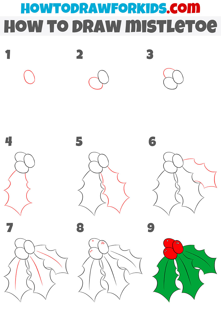 how to draw mistletoe step by step