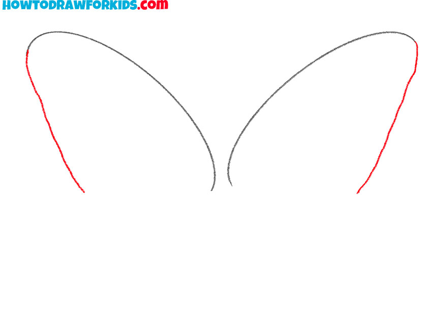 how to draw realistic butterfly wings