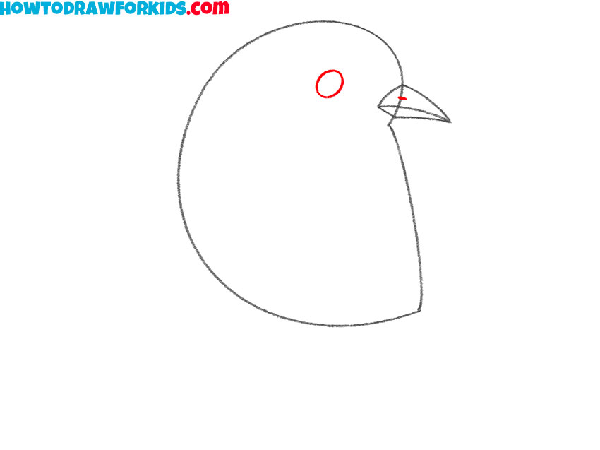 how to draw a baby bluebird