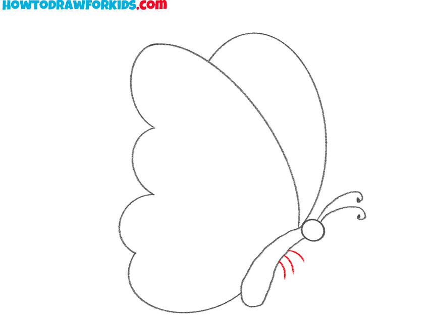 how to draw a simple butterfly for beginners