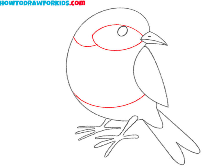 How to Draw a Bluebird - Easy Drawing Tutorial For Kids