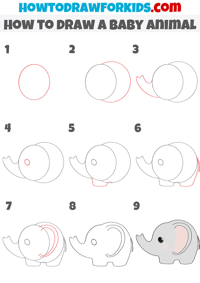 how to draw a baby animal step by step
