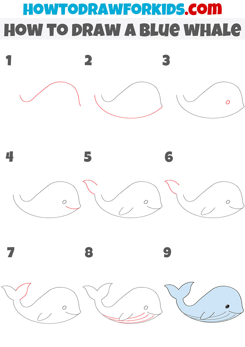 how to draw a blue whale step by step
