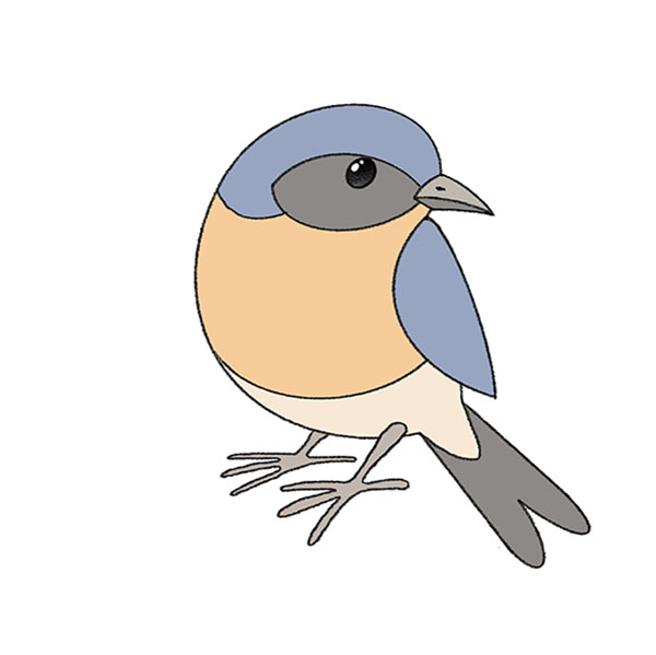 How to Draw a Bluebird