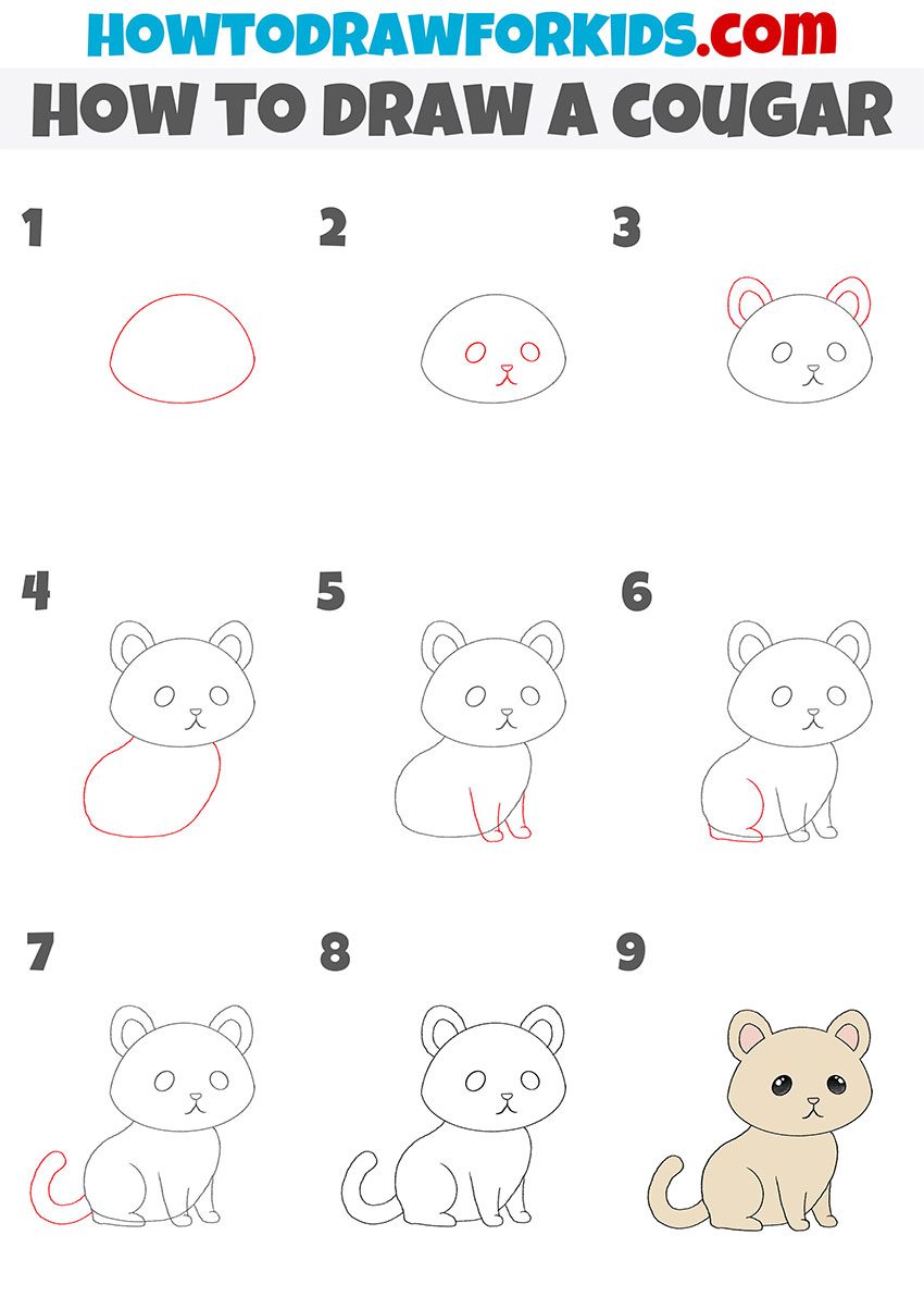 how to draw a cougar step by step