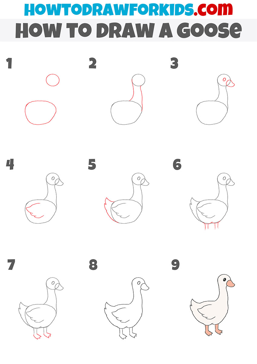 how to draw a goose step by step