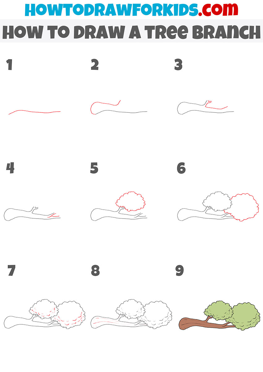 how to draw a tree branch step by step