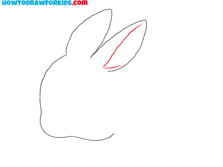 how to draw a realistic bunny