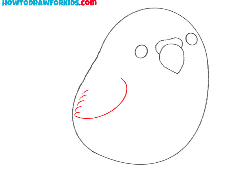 how to draw a realistic parakeet
