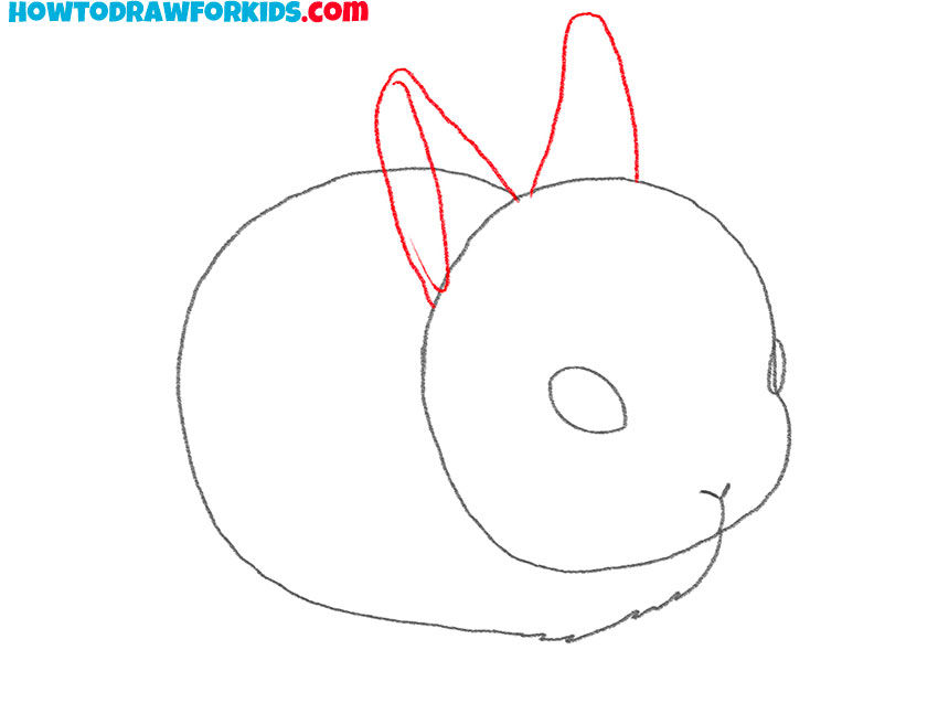 how to draw a rabbit easily
