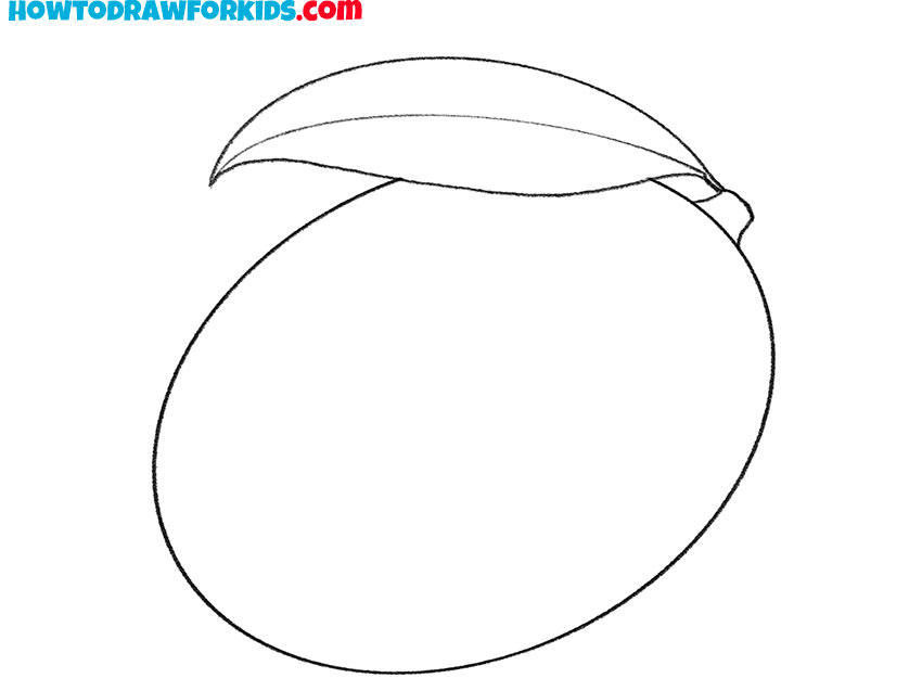 how to draw a mango plant