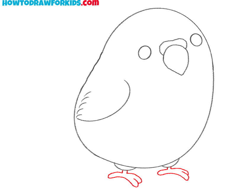 how to draw a parakeet bird