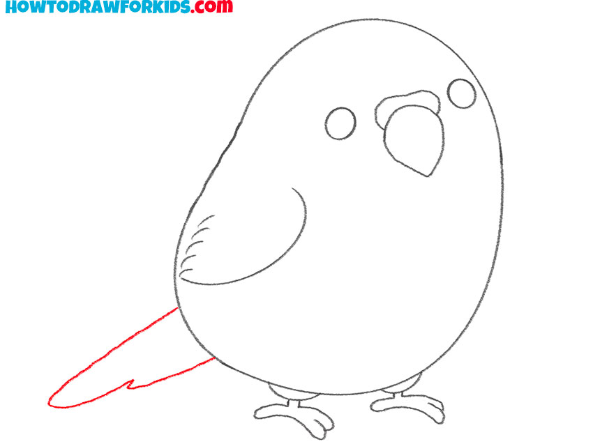 how to draw a cartoon parakeet