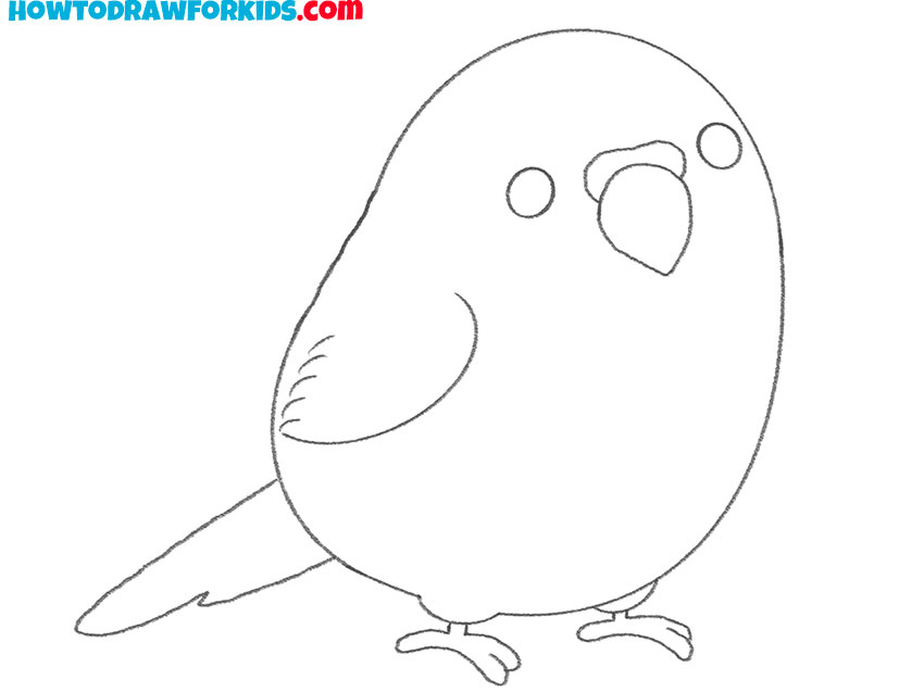 how to draw a simple parakeet