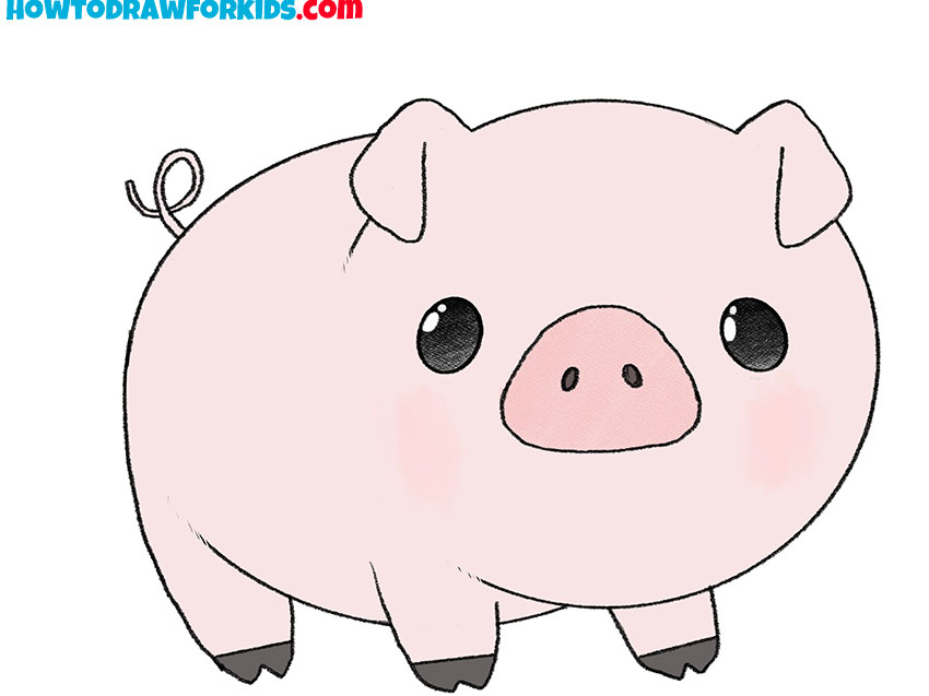 cute animal pig drawing