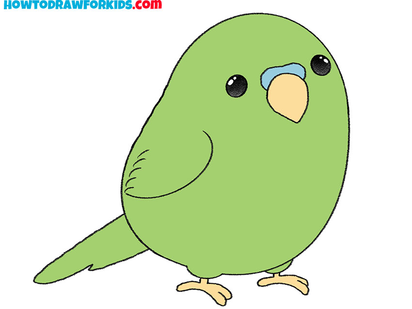 how to draw a baby parakeet