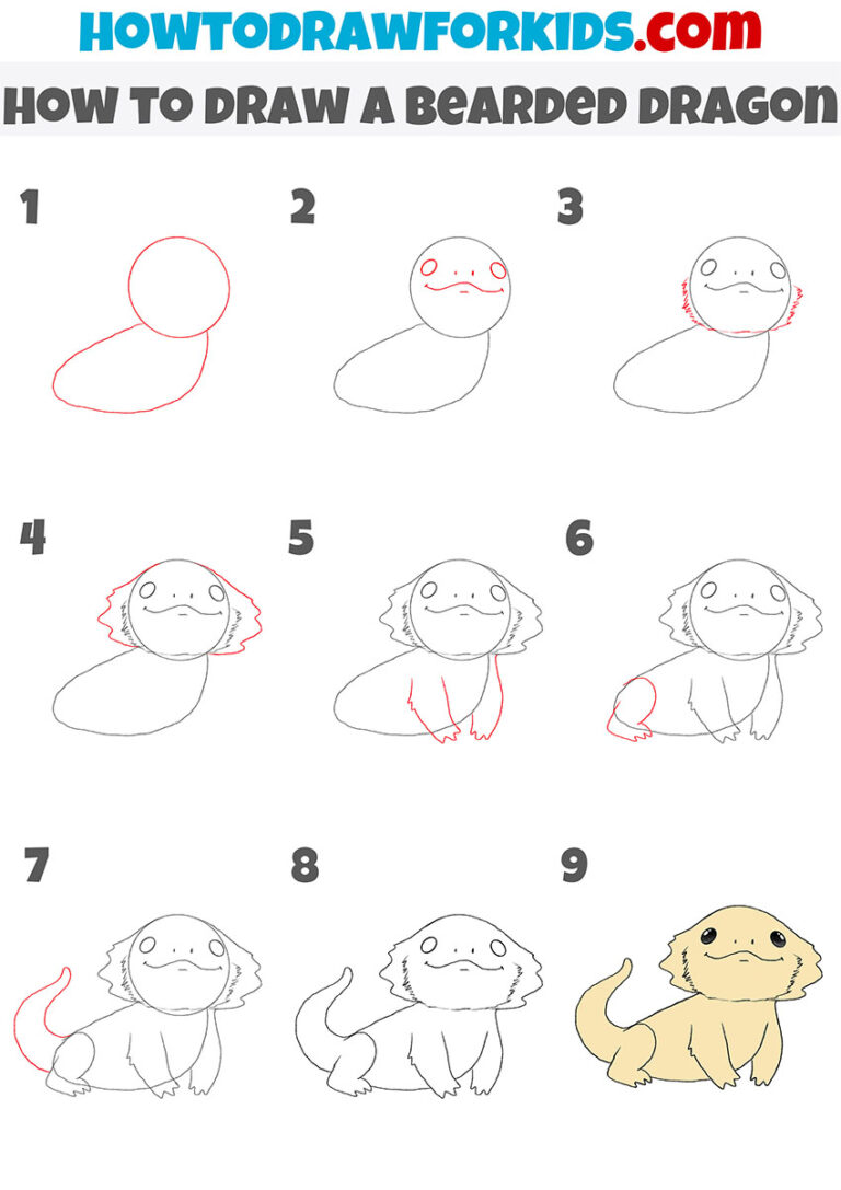 How to Draw a Bearded Dragon Easy Drawing Tutorial For Kids