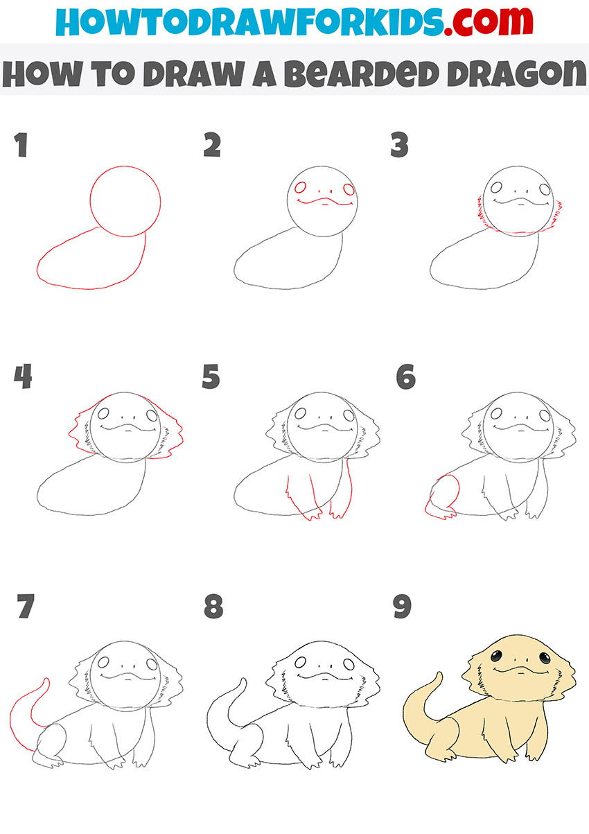 how to draw a bearded dragon step by step