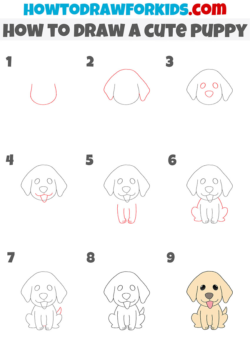 how to draw a cute puppy step by step