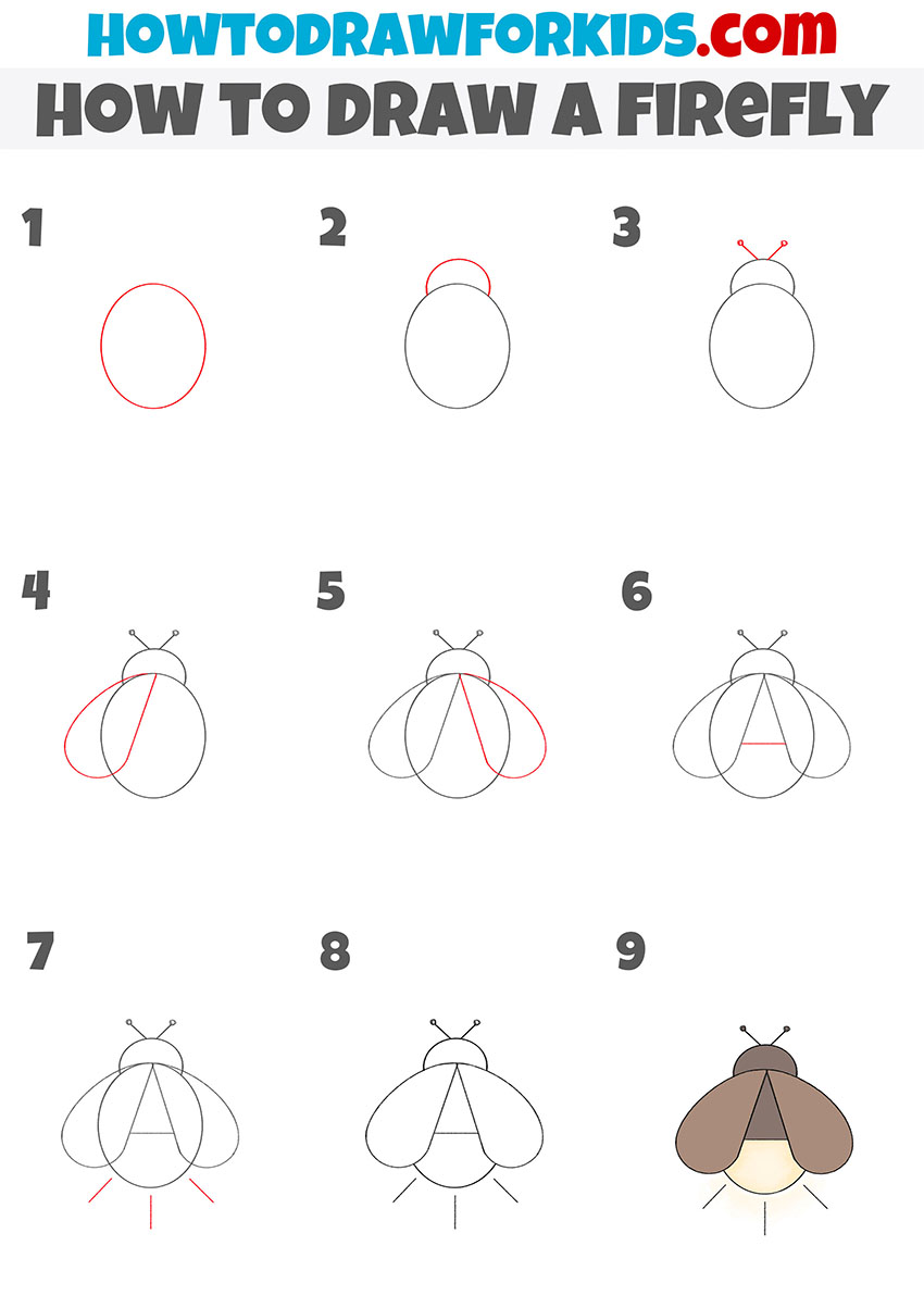 how to draw a firefly step by step