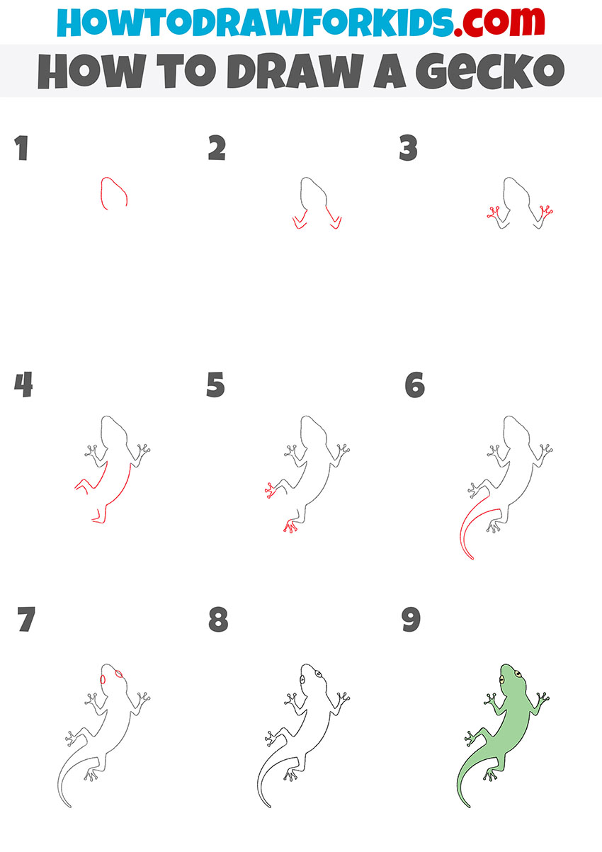 how to draw a gecko step by step