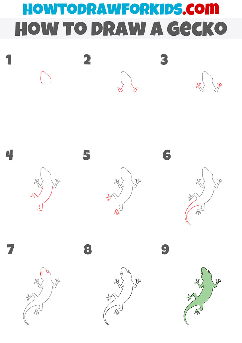 How to Draw a Gecko Easy Drawing Tutorial For Kids