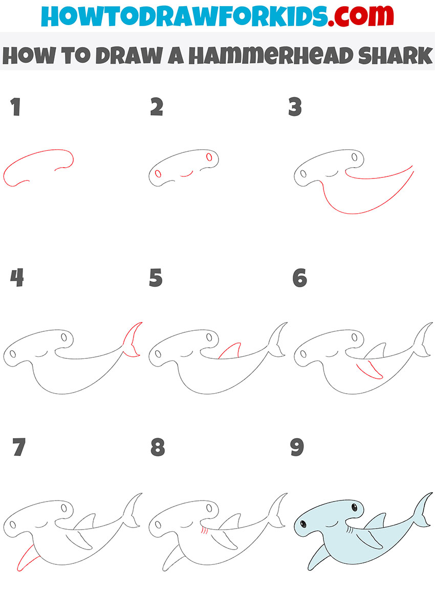 how to draw a hammerhead shark step by step