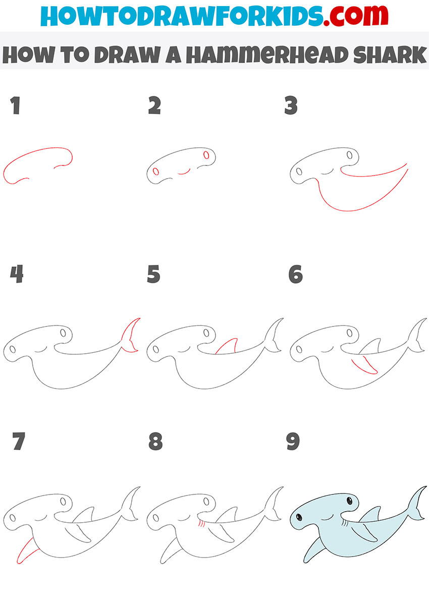 How to Draw a Hammerhead Shark Easy Drawing Tutorial For Kids