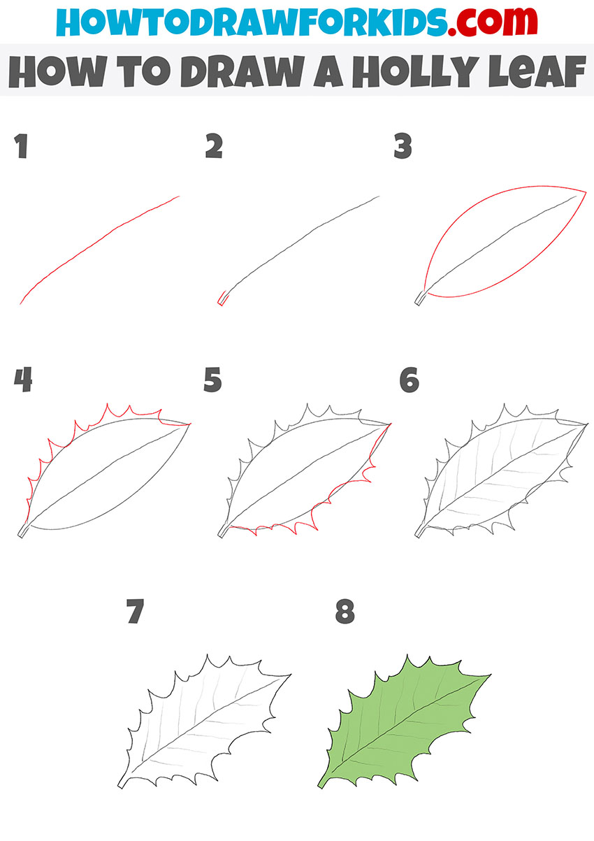 how to draw a holly leaf step by step
