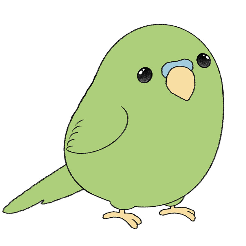 How to Draw a Parakeet Easy Drawing Tutorial For Kids