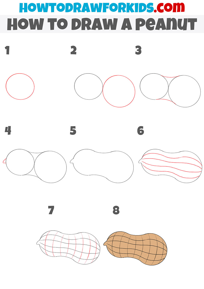 how to draw a peanut step by step
