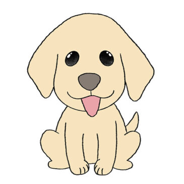 How to Draw a Cute Puppy
