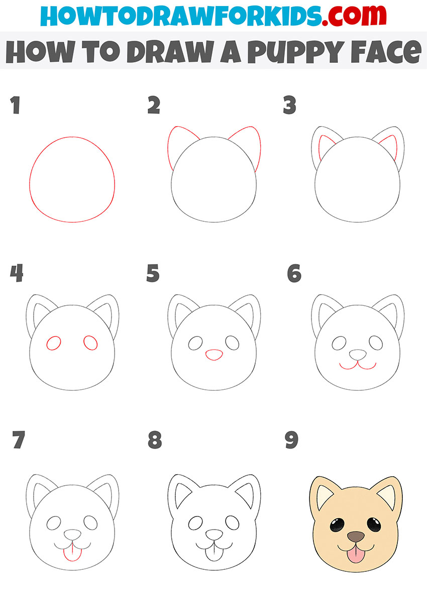 how to draw a puppy face step by step