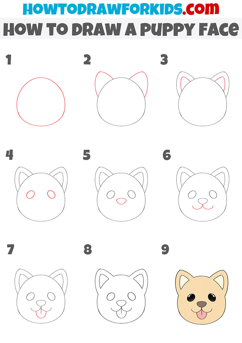 How to Draw a Puppy Face Easy Drawing Tutorial For Kids