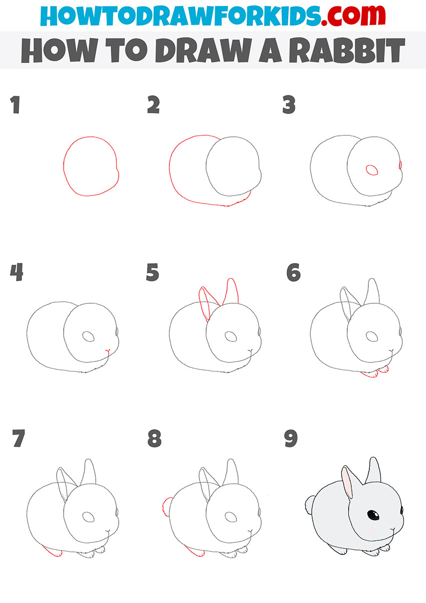 how to draw a rabbit step by step