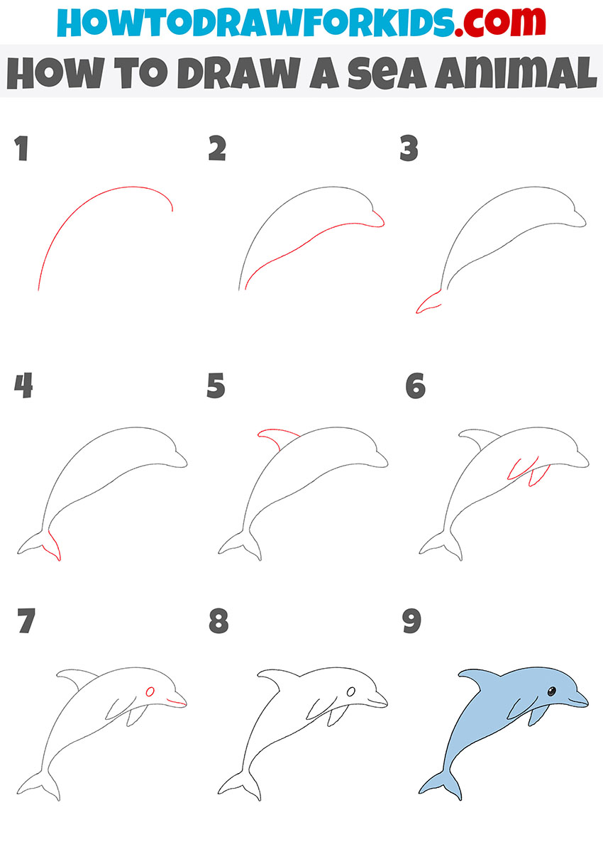 how to draw a sea animal step by step