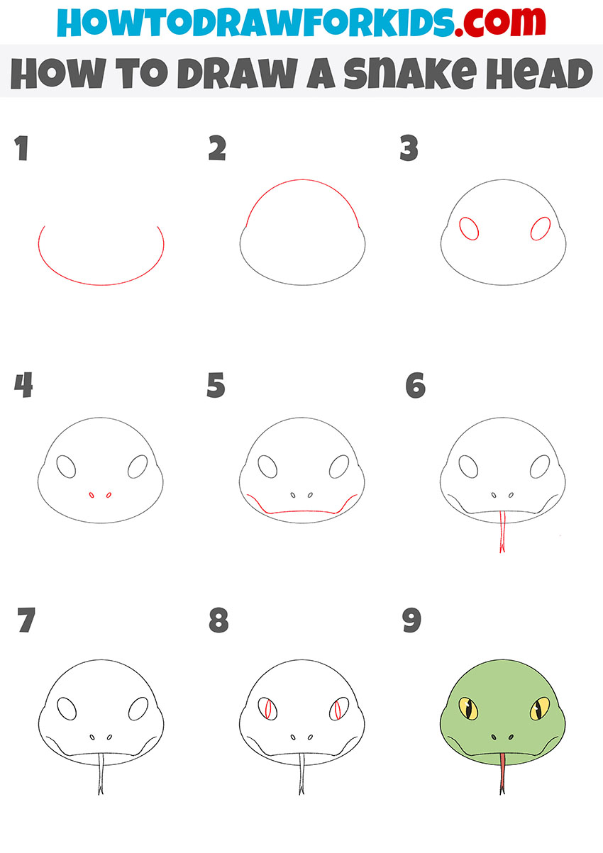 how to draw a snake head step by step