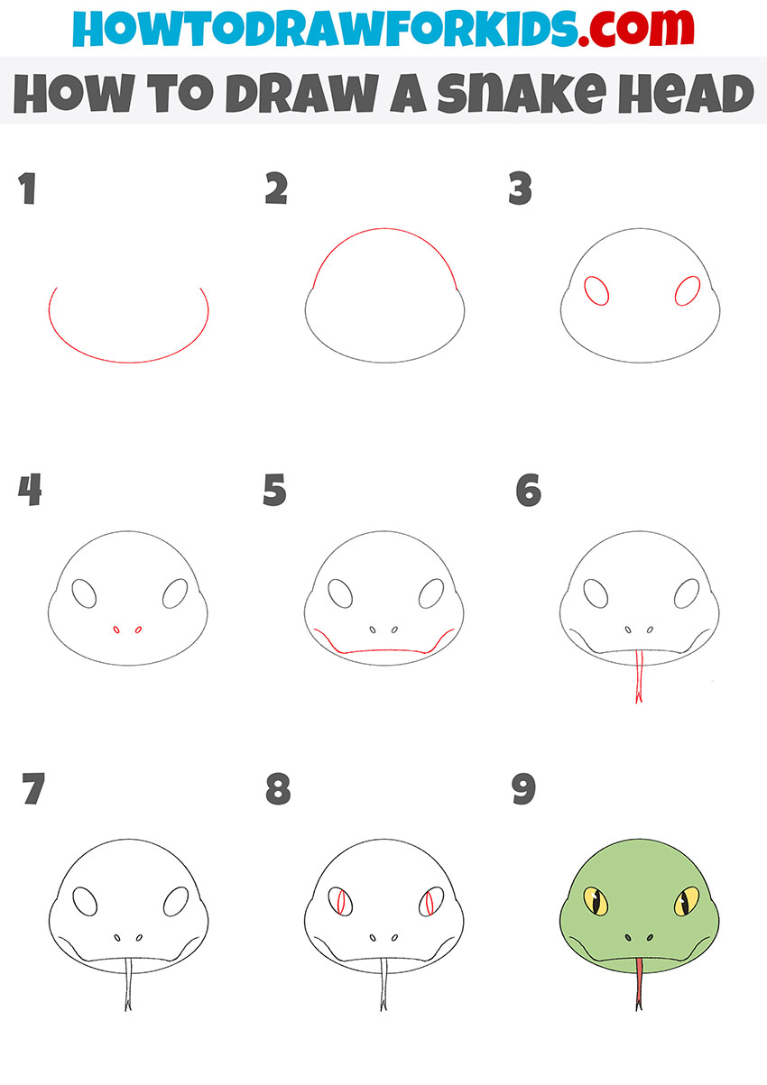 how to draw a snake head