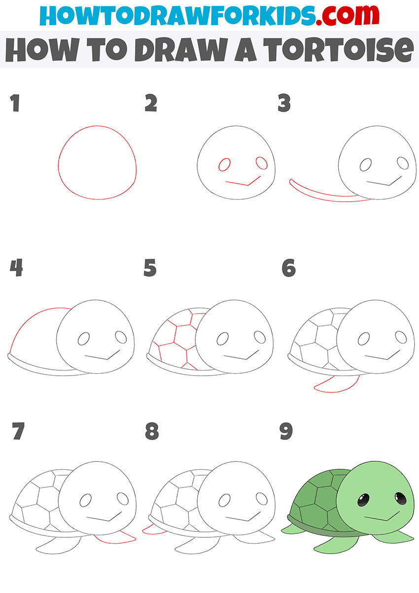 how to draw a tortoise step by step