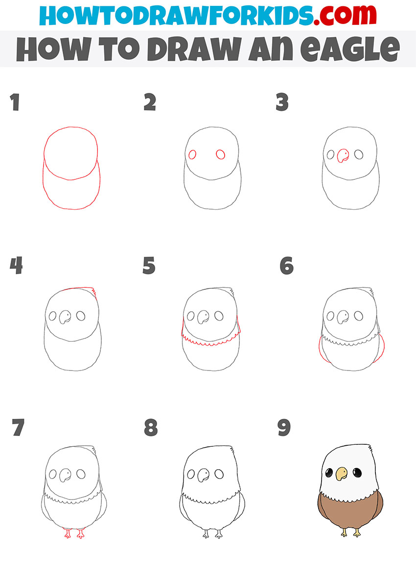 Eagle Drawing In 7 Steps For Beginners