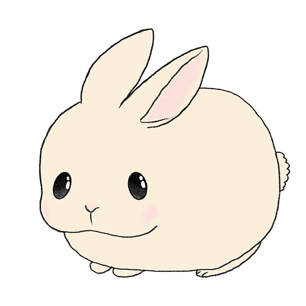how to draw cute bunnies