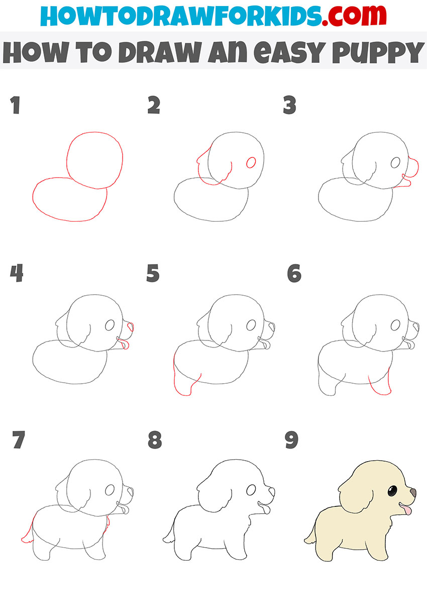 how to draw an easy puppy step by step