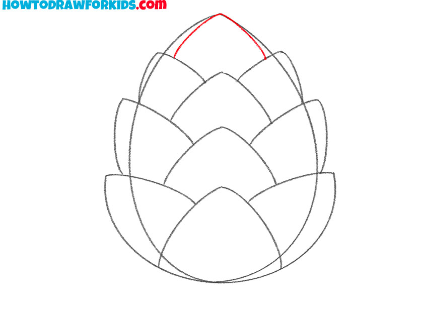 how to draw a pine cone for beginners